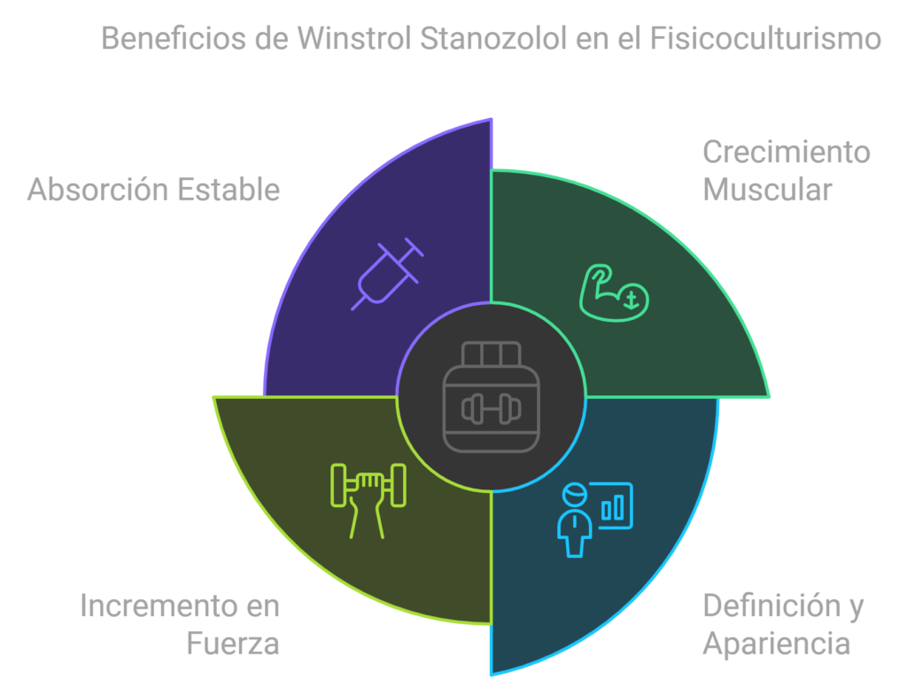 Principales Efectos en el Fisicoculturismo